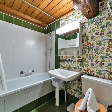 Chesa La Cuntainta - Apartment Sils Maria